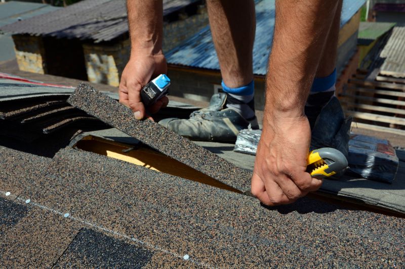 Professional Asphalt Shingle Maintenance