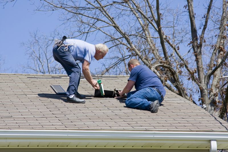 Asphalt Shingle Repair Expert