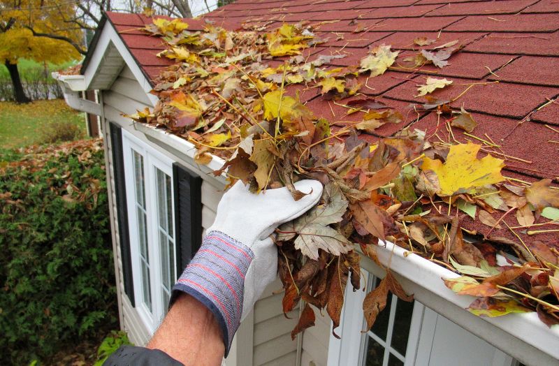 Fall Roof Repair