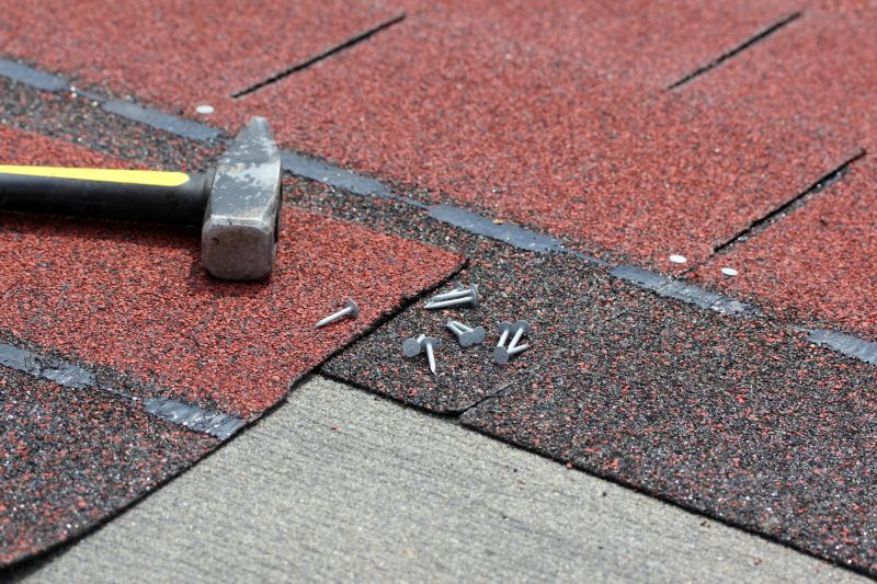 Shingles Repair
